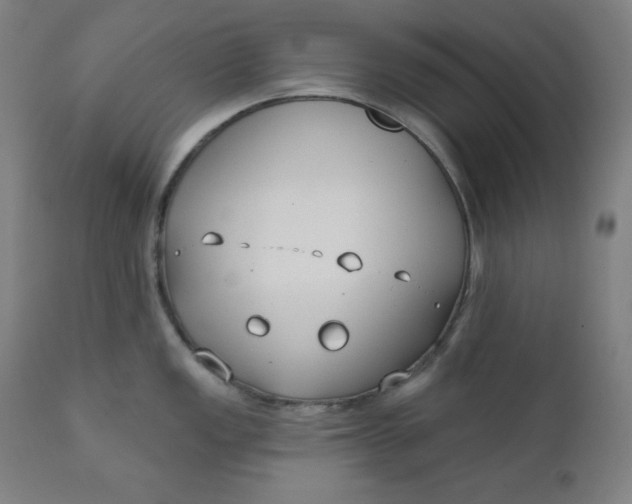 X0000111611149200907311133