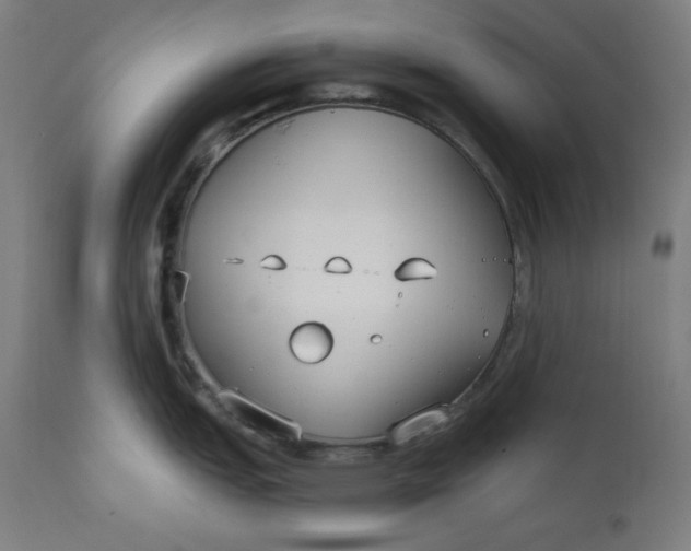 X0000111611151200907311133