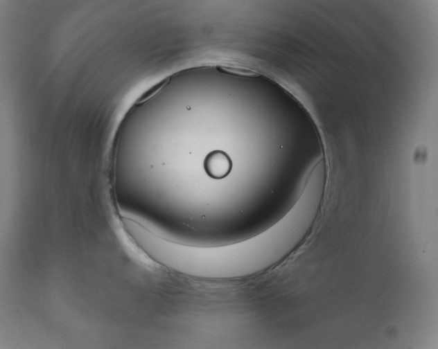 X0000111611152200907311133