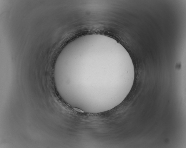 X0000111611153200907311132