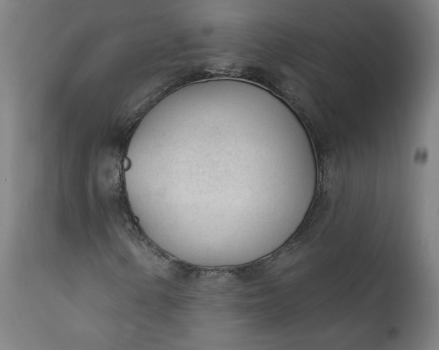X0000111611154200907311132