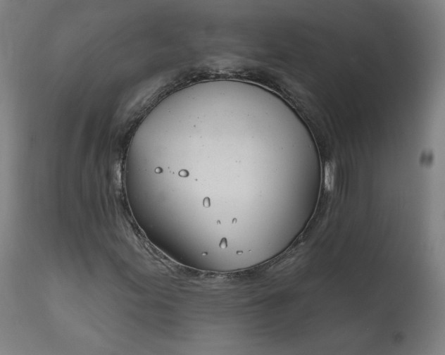 X0000111611155200907311132