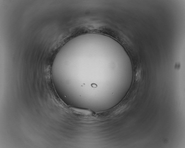 X0000111611156200907311132