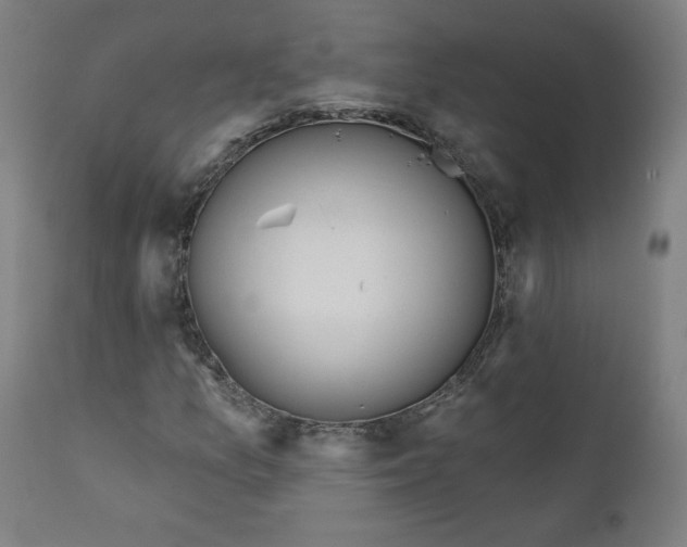 X0000111611157200907311132