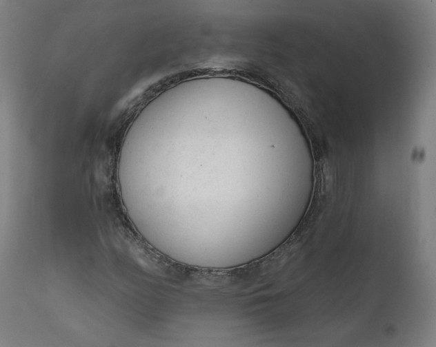 X0000111611158200907311132