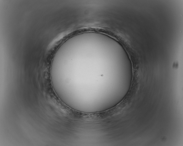 X0000111611159200907311132