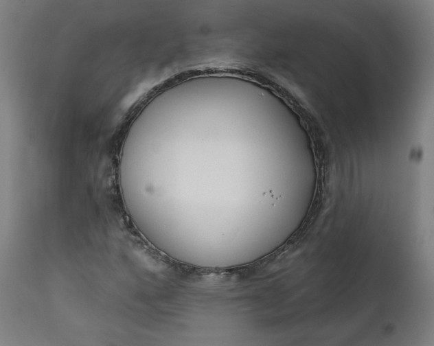 X0000111611160200907311132