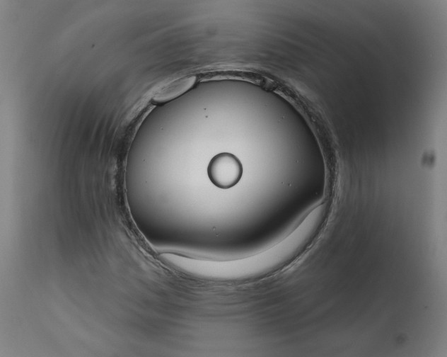 X0000111611161200907311132