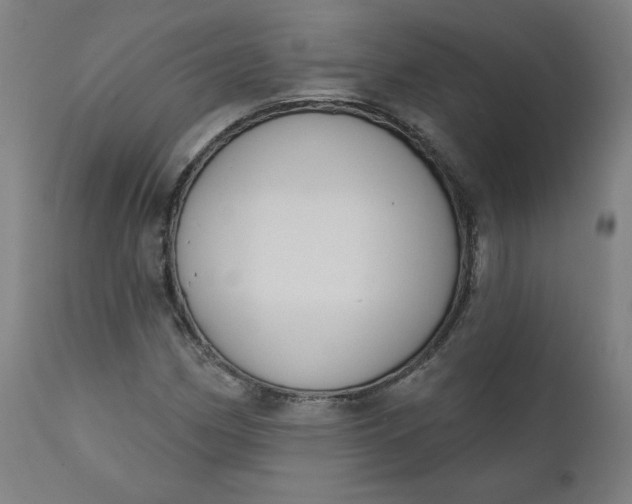 X0000111611162200907311132