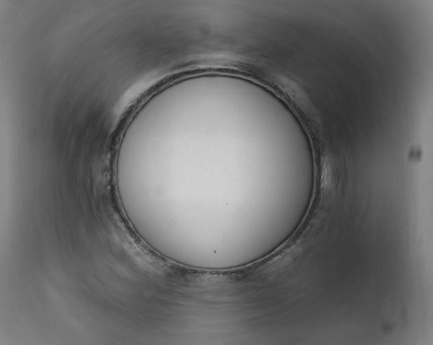 X0000111611164200907311132