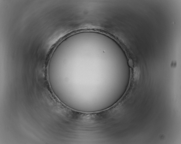 X0000111611165200907311132