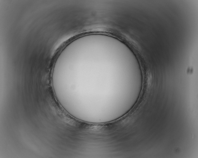 X0000111611166200907311132