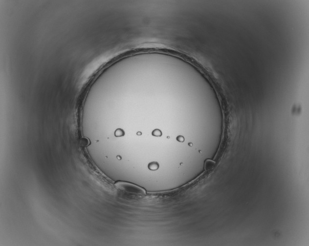 X0000111611167200907311132