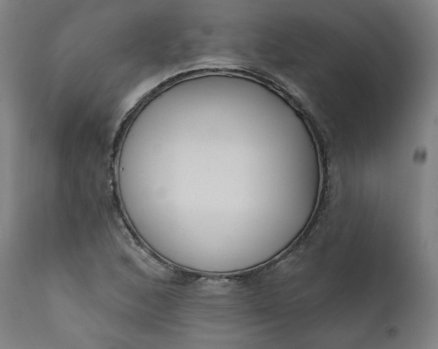 X0000111611168200907311132