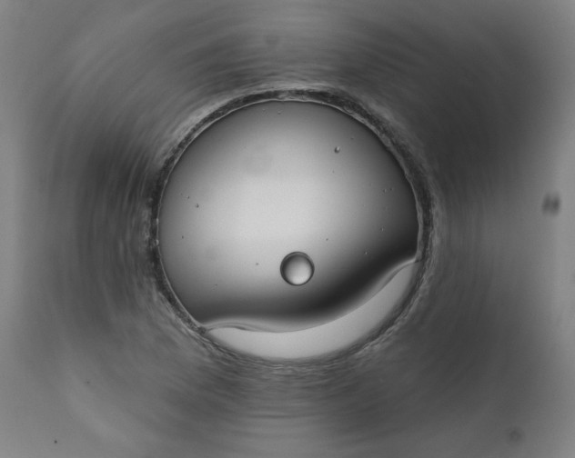 X0000111611169200907311132