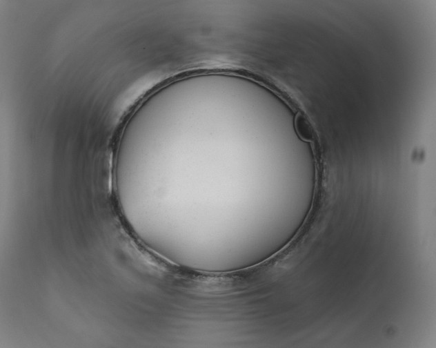 X0000111611171200907311132