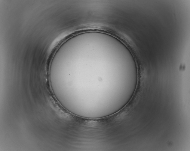 X0000111611172200907311132