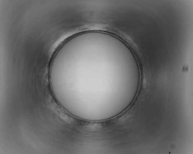 X0000111611174200907311132