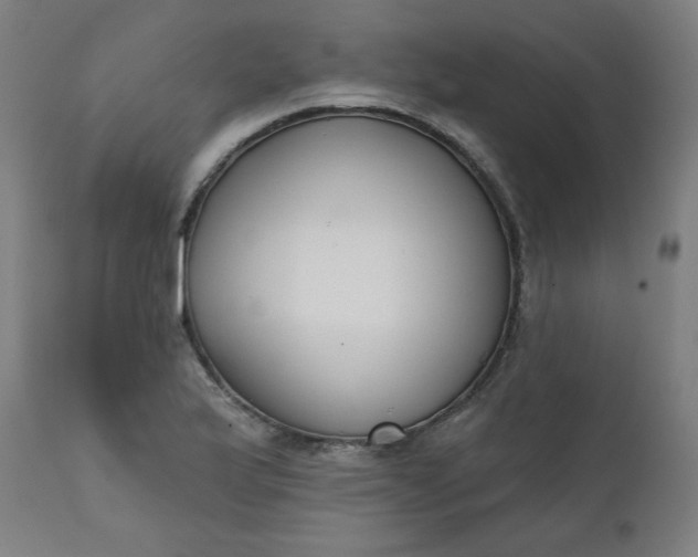 X0000111611175200907311132