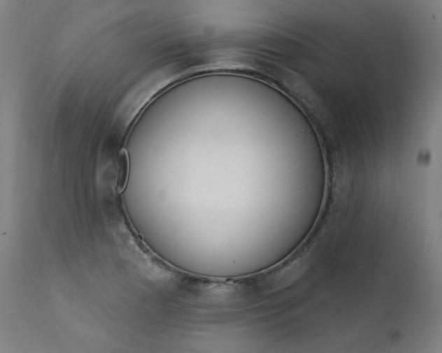 X0000111611177200907311132