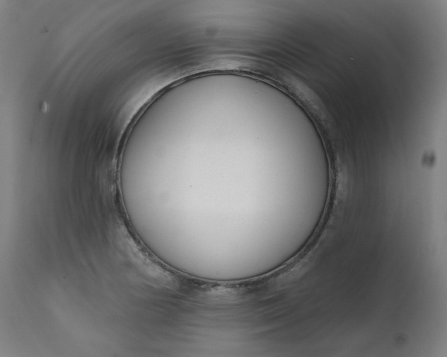 X0000111611178200907311132