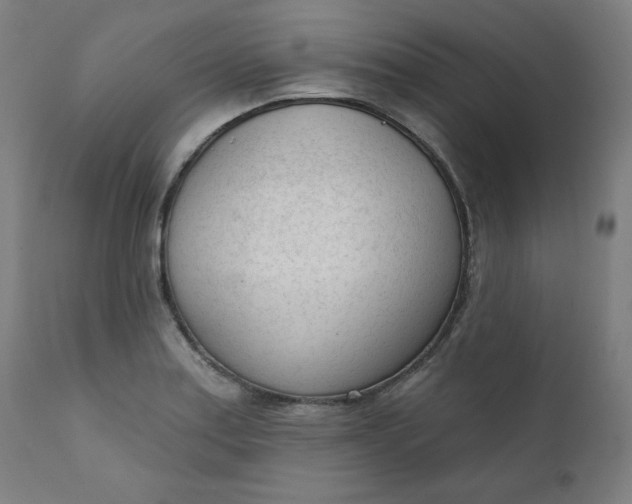 X0000111611179200907311132