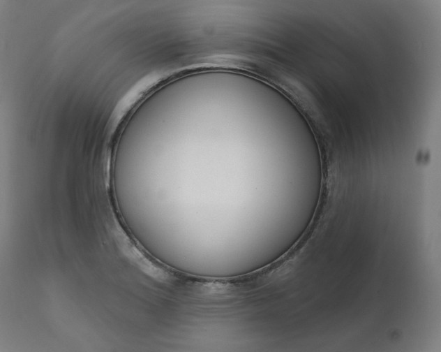 X0000111611180200907311132