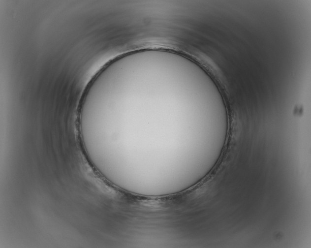 X0000111611182200907311132