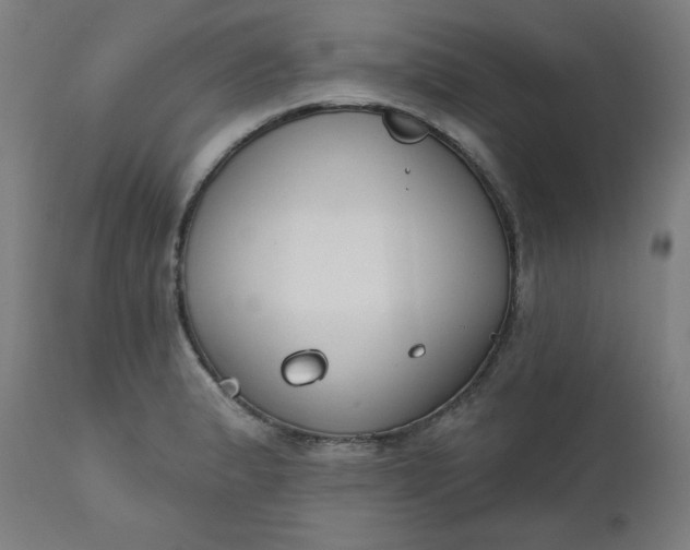 X0000111611183200907311132