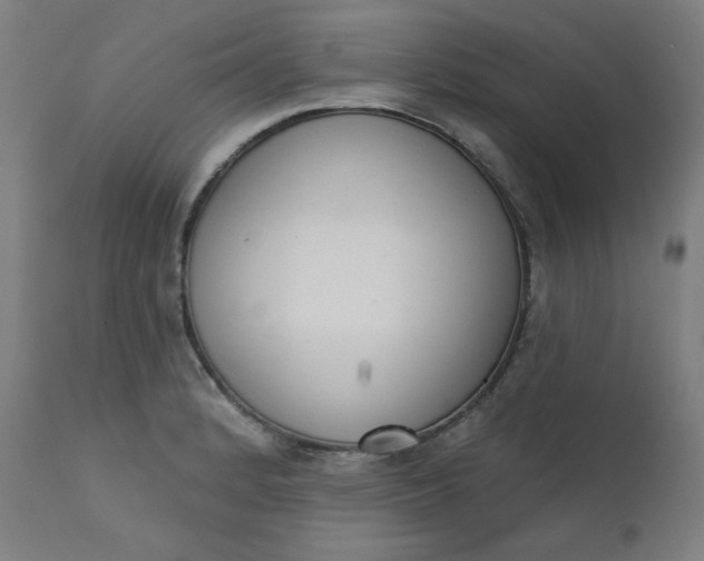 X0000111611184200907311132