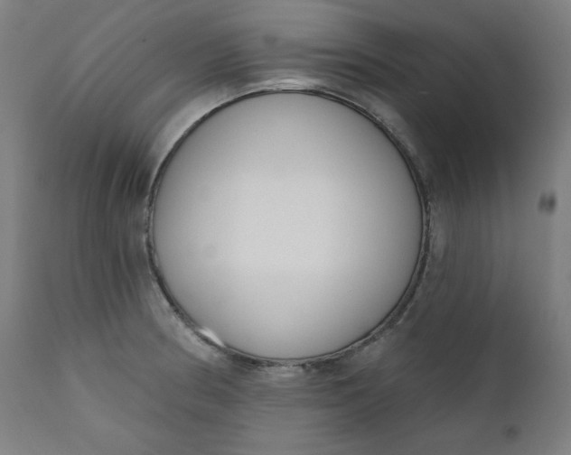 X0000111611186200907311132