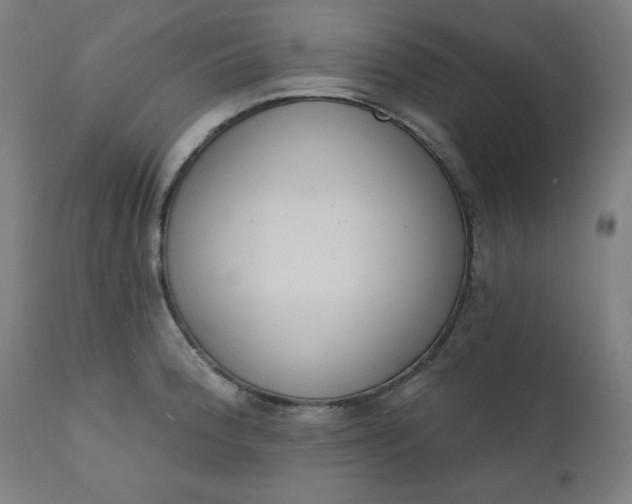 X0000111611188200907311132