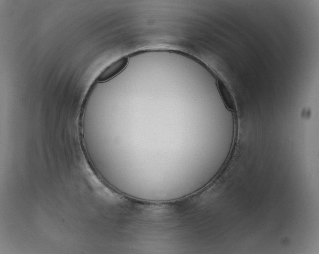 X0000111611189200907311132