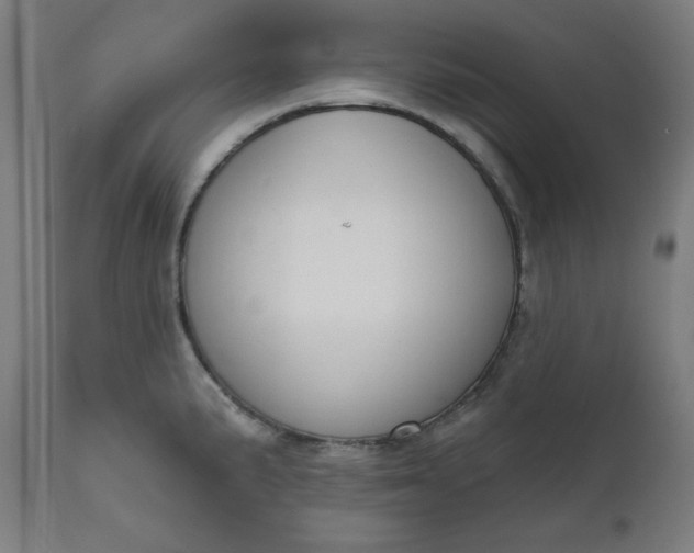 X0000111611191200907311132