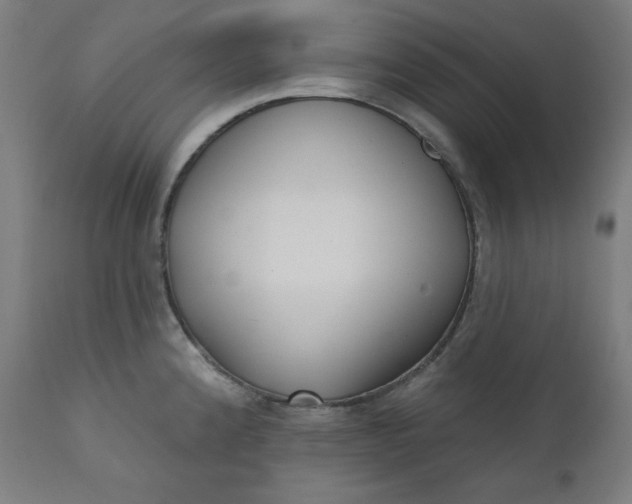 X0000111611192200907311132