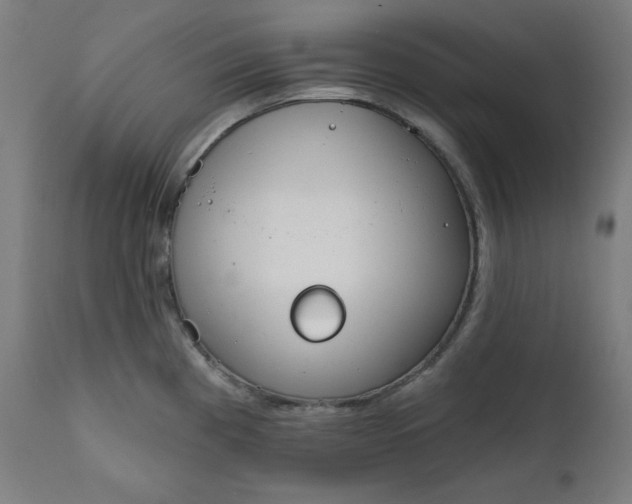 X0000111611193200907311132