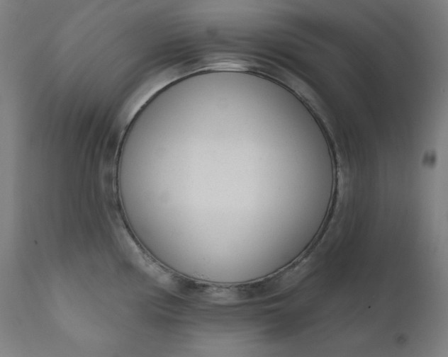 X0000111611194200907311132