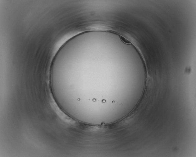 X0000111611195200907311132