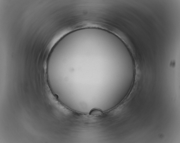 X0000111611198200907311132