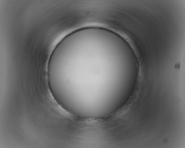 X0000111611199200907311132