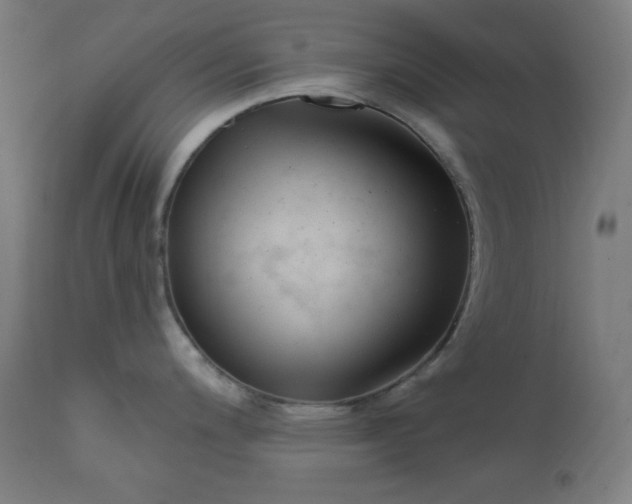 X0000111611200200907311132