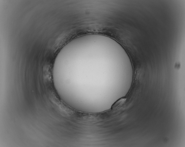 X0000111611202200907311131