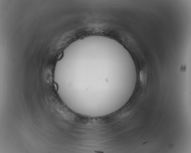 X0000111611203200907311131
