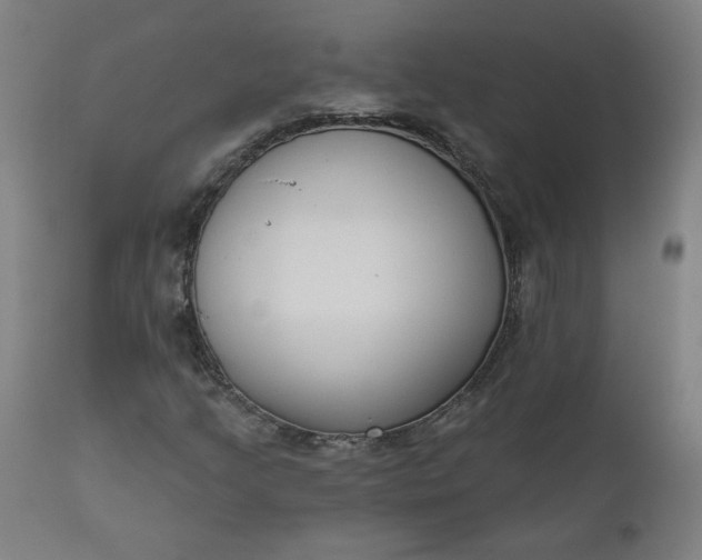 X0000111611205200907311131