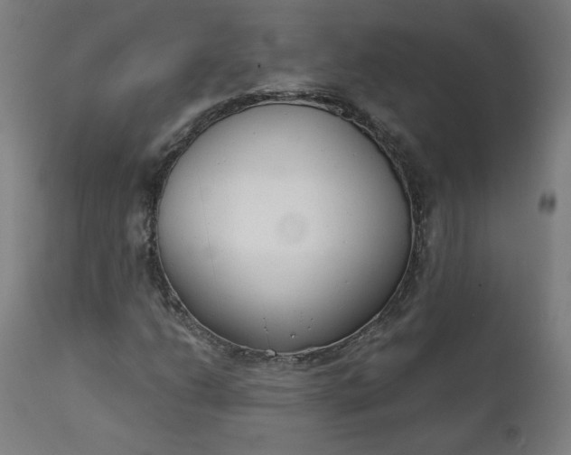 X0000111611206200907311131