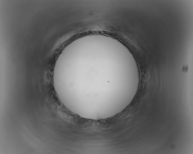 X0000111611207200907311131