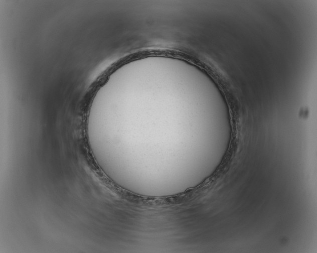 X0000111611208200907311131