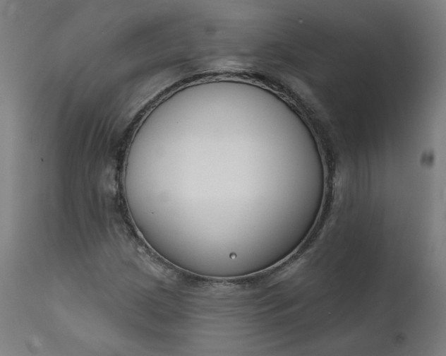 X0000111611209200907311131