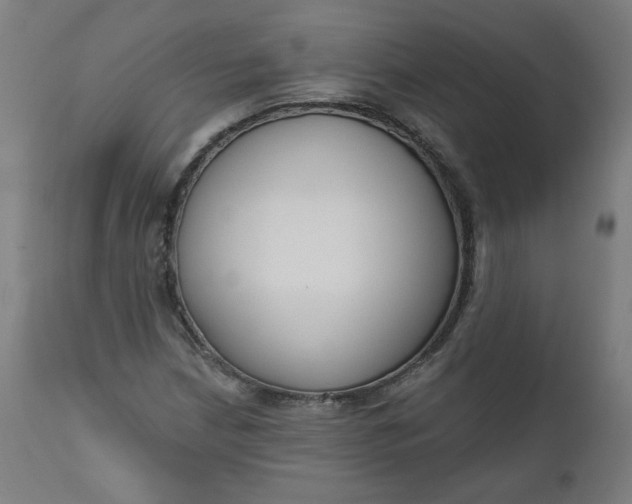 X0000111611210200907311131