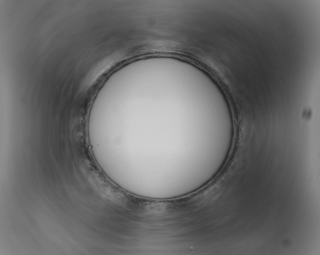 X0000111611211200907311131